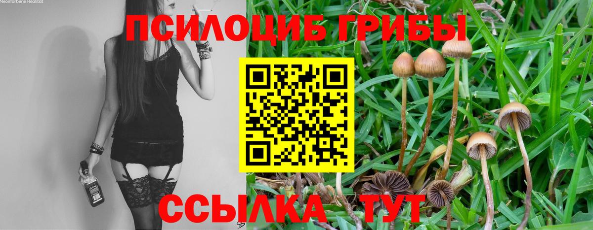 Моршанск  Псилоцибиновые грибы Cubensis  Вход с VPN  Галлюциногенные грибы Cubensis 